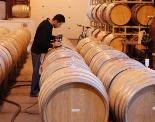 alban-vineyards-barrel-room-california-central-coast